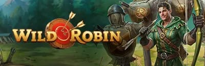 Découvrir Wild Robin casino